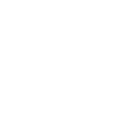 Cog-Wheel